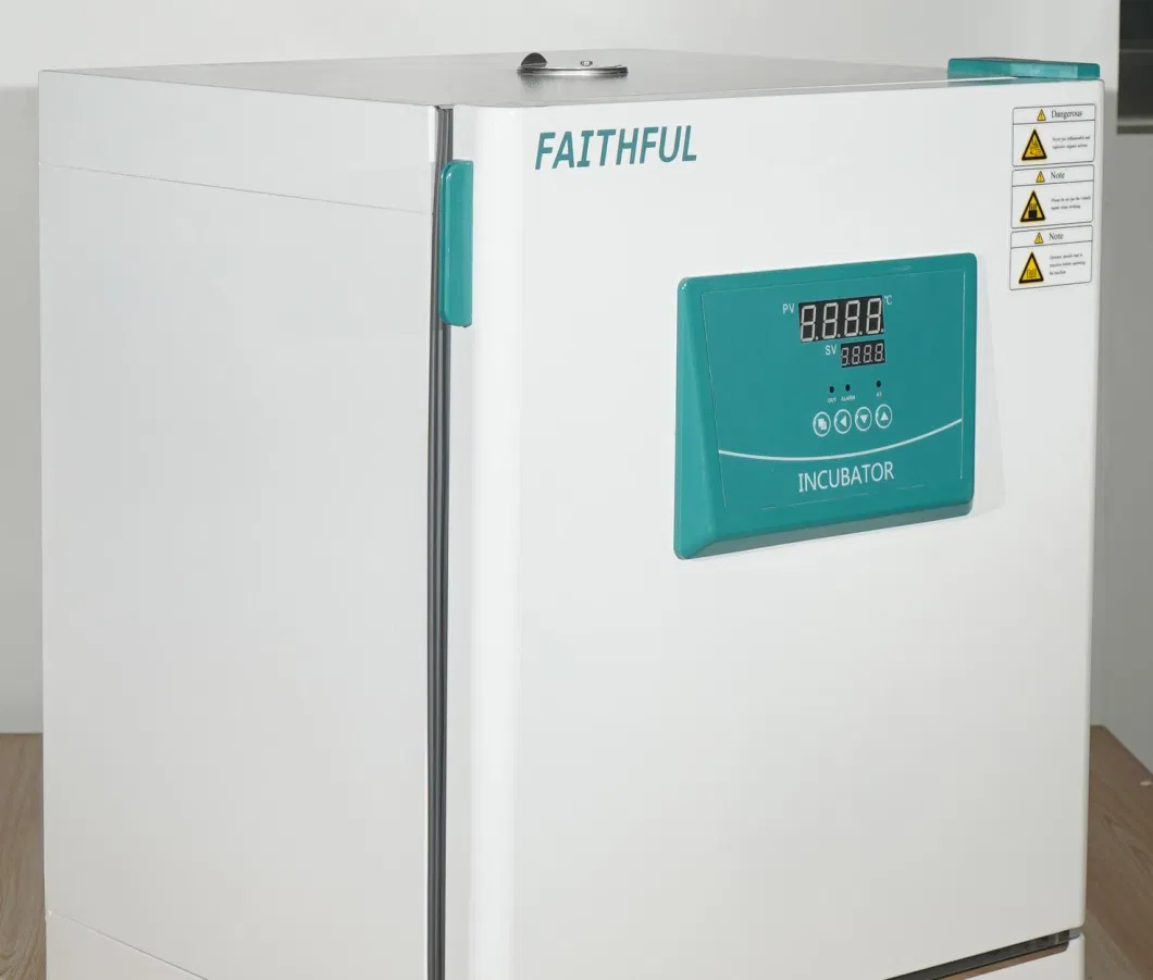 Lab Constant Temperature Incubator (DH) , Ce Incubator