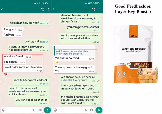 Полностью автоматический инкубатор для куриных яиц, инкубационные яйца, инкубатор для куриных, птиц, гусиных яиц на солнечной энергии